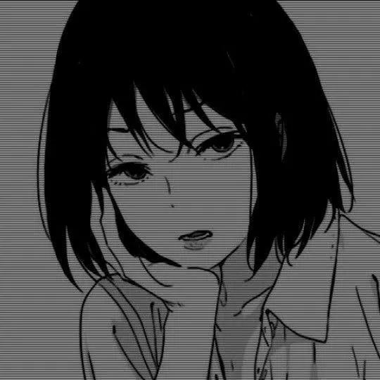 498