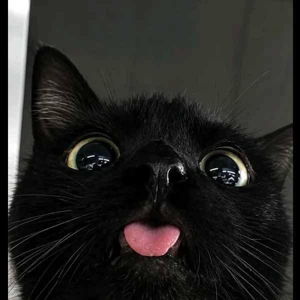 576