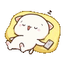 .rsleep.