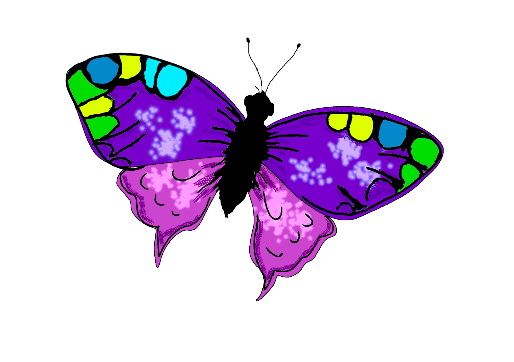 .butterfly.