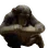 .fuc.