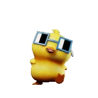 .quackwalk.